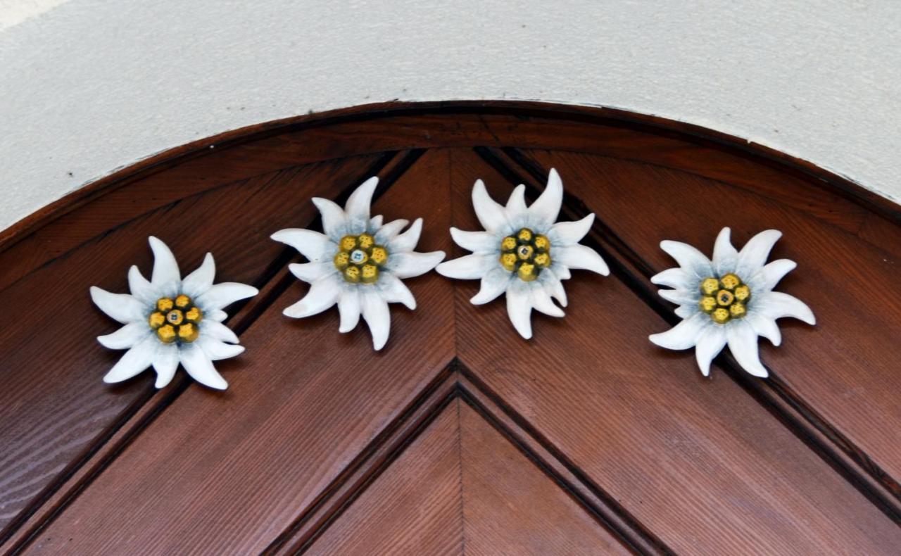 Haus An Der Litz Daire Schruns Dış mekan fotoğraf